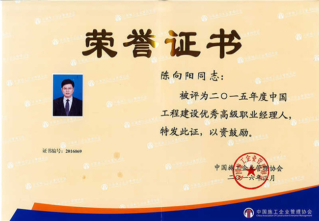 2015年中国工程建设优秀高级职业经理人（陈向阳）